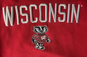 E5 Vintage university of Wisconsin size large hoodie thumbnail 2
