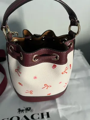 Coach  thumbnail 9