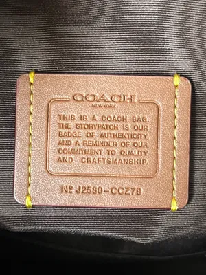 Coach Evelyn Shoulder Bag thumbnail 10