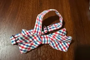 J.Crew kids plaid bowtie thumbnail 4