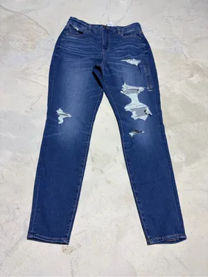 American Eagle Outfitters NWT curvy hi-rise jegging dream Jean 10 long thumbnail 1