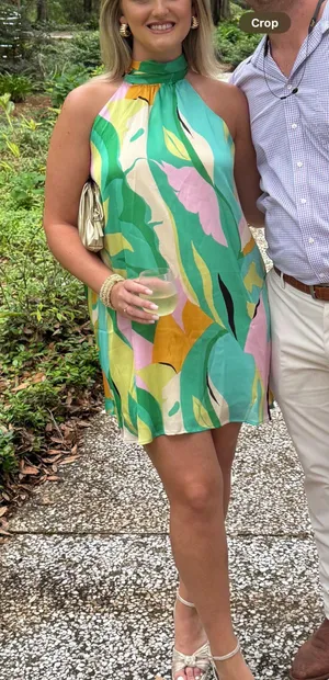 Dress Impeccable Pig thumbnail 2
