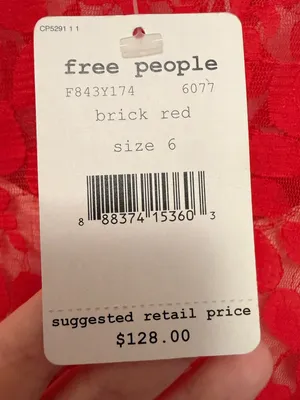 Free People‎ Brick Red Lace Dress NWT Boho Fit Flare festival thumbnail 10