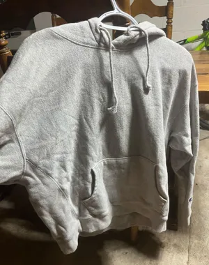 Champion Hoodie Sweatshirt thumbnail 1