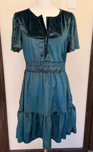 French Connection Dark Green Velvet Tiered Midi Dress thumbnail 1