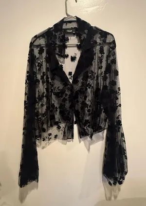 Black Sheer Lace Long sleeve Blouse  thumbnail 1