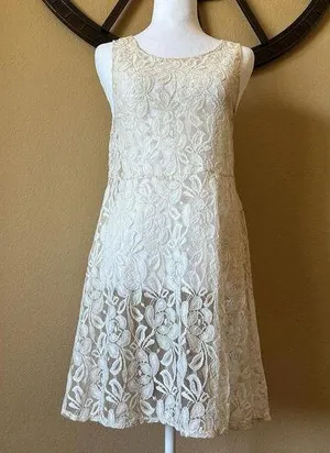 Free People Sleeveless Lace Overlay Dress Sheer Trapeze Flare Coverup Size Large thumbnail 1