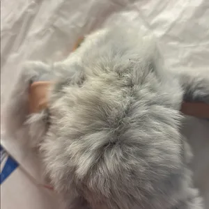 Fluffy Gray Fur animal thumbnail 3