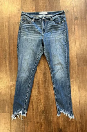 BKE Gabby Jeans Womens 30 Blue Curvy Fit High Rise Stretch Ankle Skinny Raw Hem thumbnail 1