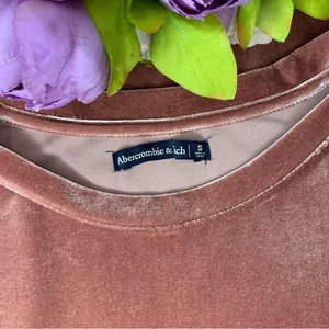 Abercrombie & Fitch Mauve Velour Top thumbnail 11