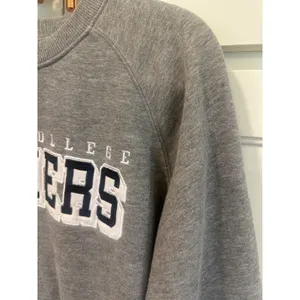 Champion Ferrum College Panthers Gray Crewneck Sweatshirt Womens Large Raglan VA thumbnail 4