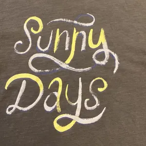 Wildfox Sunny Days graphic tee shirt sleeve‎ gray size XL thumbnail 3