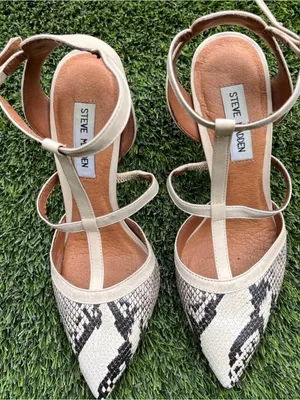 Steve Madden Women's Cream & Black Snake-Print T-Strap Pointed Flats thumbnail 1