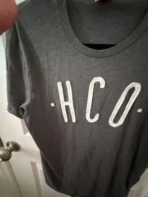 Hollister Co. Dark Gray Graphic Logo T-Shirt Size M thumbnail 5