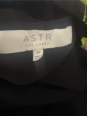 ASTR The Label High Neck Trapeze Black Chiffon Mini Dress Whimsygoth Medium thumbnail 6