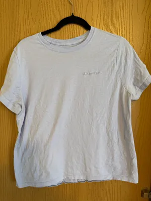 Light Blue Champion T-Shirt thumbnail 1