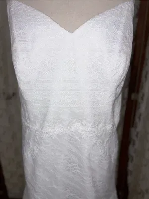 Gorgeous New Galina by David’s Bridal Crochet Lace Slip Wedding Gown thumbnail 6