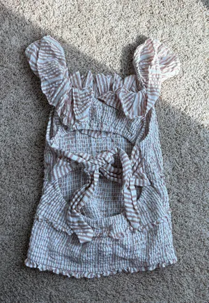 Anthropologie Ruffle Top thumbnail 2