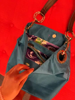purse thumbnail 2