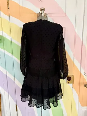 Bardot Mae Lace Tiered Swiss Dot Fit & Flare Mini Dress - Black - Size US 6🧡🍄 thumbnail 5