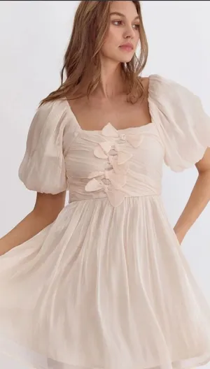 entro champagne‎ party dress. Size M thumbnail 1