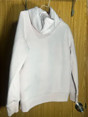 Carhartt Light Pink Hoodie with Rust Logo thumbnail 6
