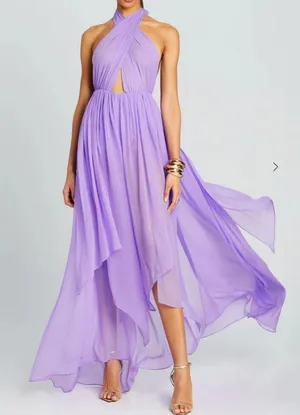 Retrofete Ina Silk Chiffon Maxi Dress Wisteria NWT Medium Wedding Guest Gala thumbnail 1