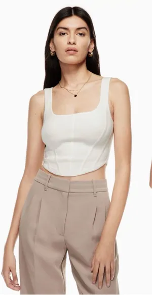 ARITZIA Babaton Sculpt Knit Corset Beige Matte Pearl Tank Top thumbnail 1