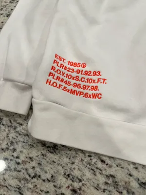 jordan hoodie thumbnail 4