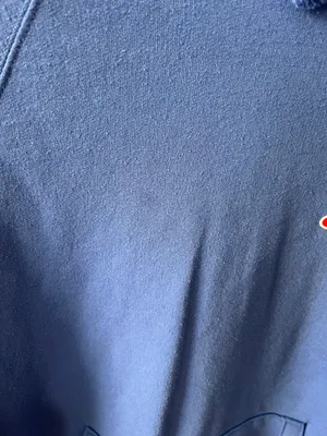 Champion Sweatshirt thumbnail 4