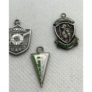 Vintage‎ Richwoods High SchooI Illinois Lot 3 Charm Pendant Sterling 925 Silver thumbnail 5