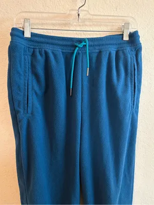 Patagonia Women’s Micro D Joggers Blue Size Medium thumbnail 2