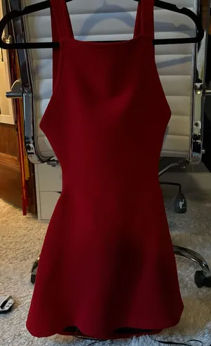 ZARA Red Mini Dress thumbnail 1