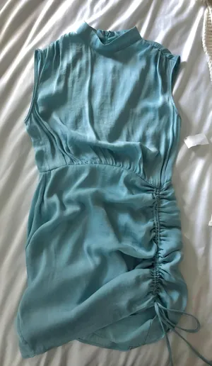 Impeccable Pig Dress thumbnail 1