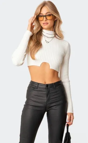 Edikted Cropped Turtle Neck Sweater thumbnail 1
