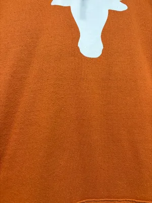Champion Texas Longhorns Sweatshirt thumbnail 2