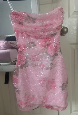 Windsor Formal Dress thumbnail 1