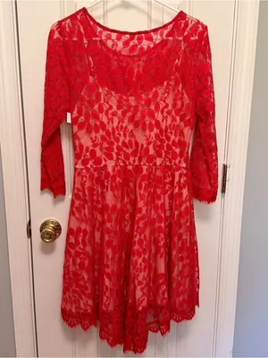 Free People‎ Brick Red Lace Dress NWT Boho Fit Flare festival thumbnail 4
