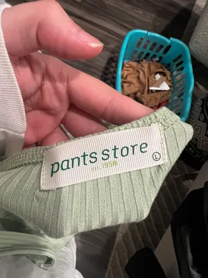 Pants Store Bodysuit  thumbnail 3
