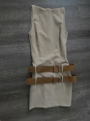 adorable Zara tan belted dress thumbnail 2