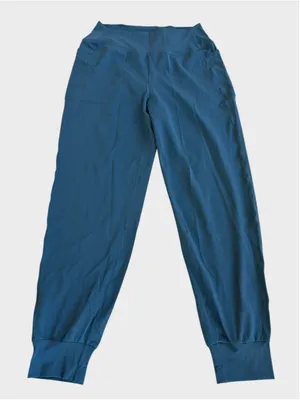 Size L (Regular) Halara Jogger Pants in Dragonfly thumbnail 1