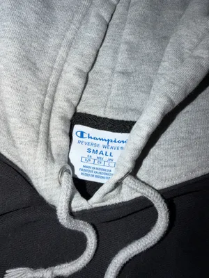 Champion Hoodie thumbnail 6