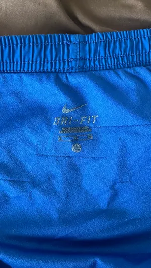 Nike Shorts thumbnail 3