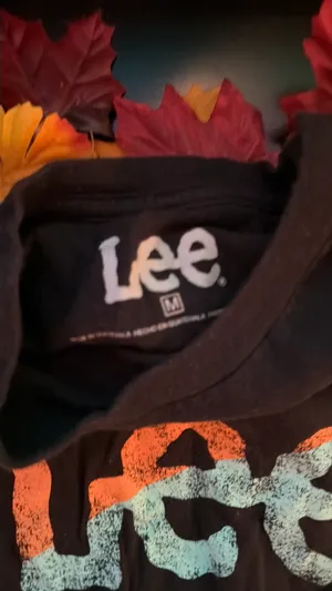 Lee Top thumbnail 2