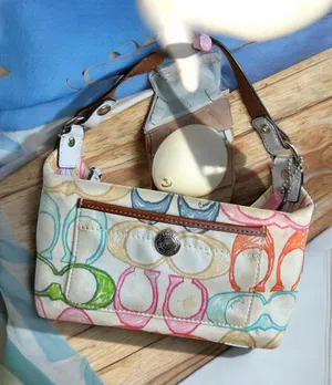 Coach Hampton bag thumbnail 1