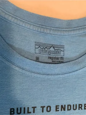 Patagonia Women’s Sky Blue Graphic Short-Sleeve Tee size Medium thumbnail 3
