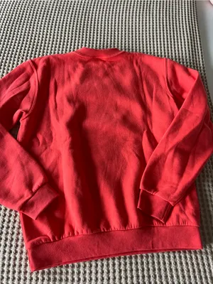 Paris Embroidered Red Crewneck Sweatshirt thumbnail 3