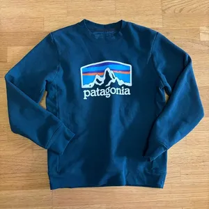 Patagonia Regular Fit Outdoor Hiking Camping Preppy Crewneck Sweatshirt S thumbnail 1
