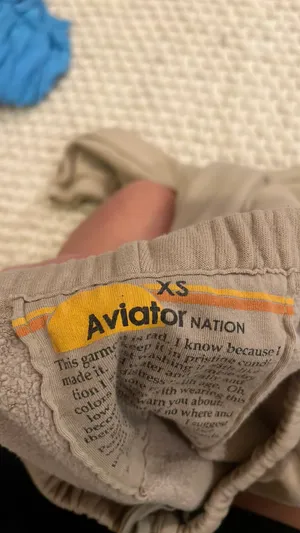 Brown Aviator Nation Sweatpants thumbnail 5