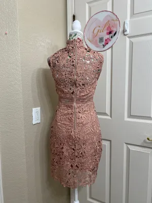 Bardot Paris Lace High Neck Dress Pink Size 4 NWT Cocktail Wedding Guess thumbnail 4
